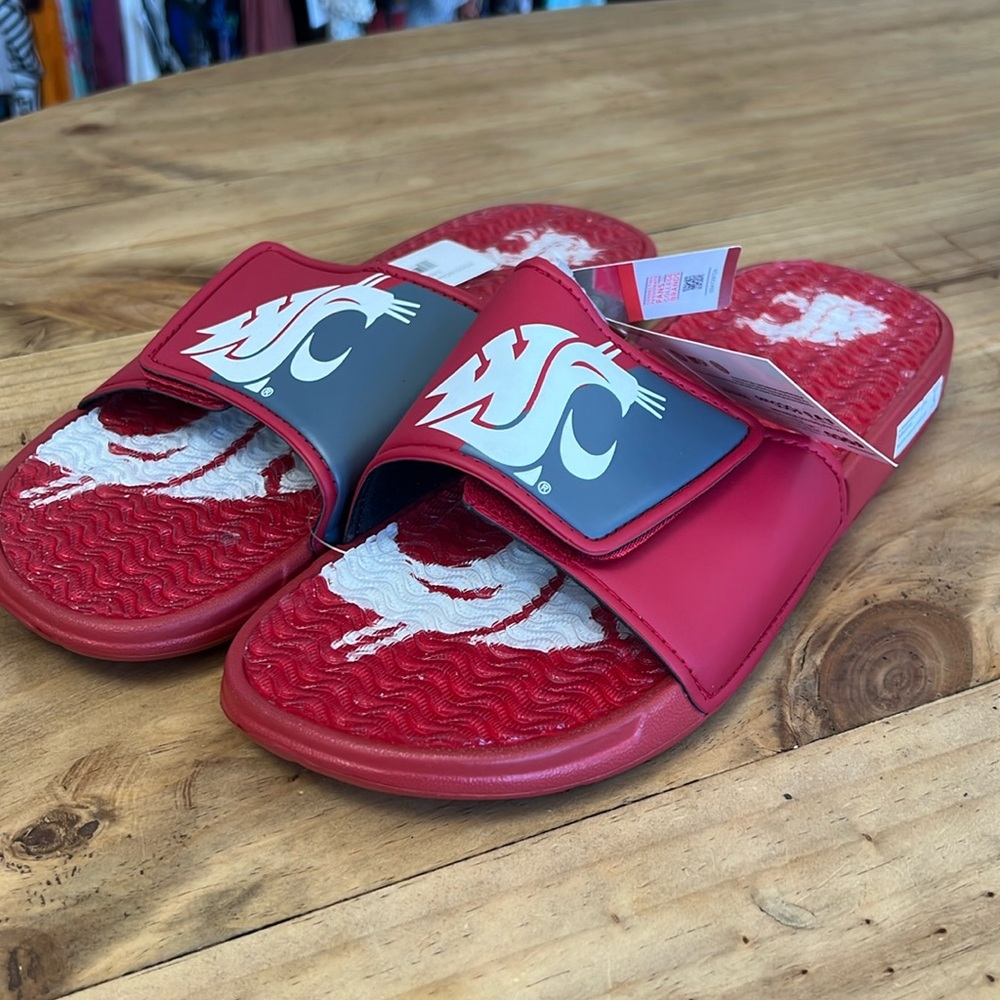NWT FOCO NCAA Washington State Slides